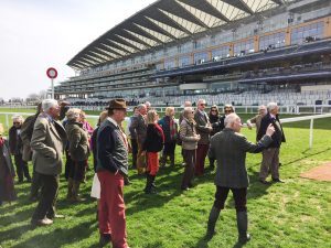 Walk of the course at Ascot